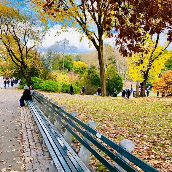 Meet your Posher, Robin - Picture 1 of 1